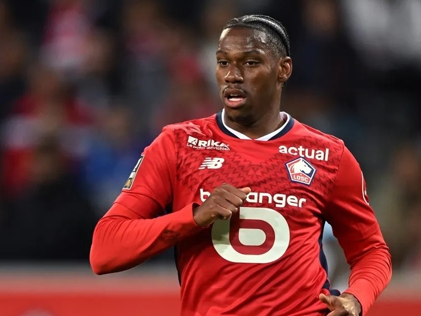 优雅的动作 优雅的动作