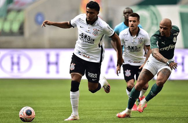 拥有丰富的 拥有丰富的